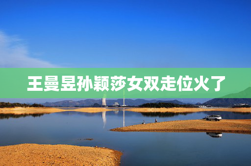王曼昱孙颖莎女双走位火了