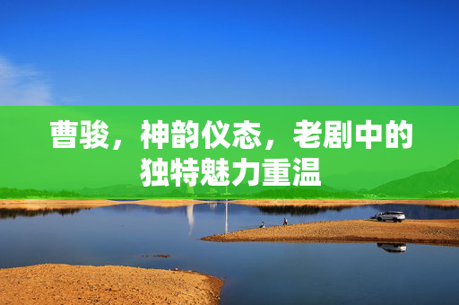 曹骏，神韵仪态，老剧中的独特魅力重温