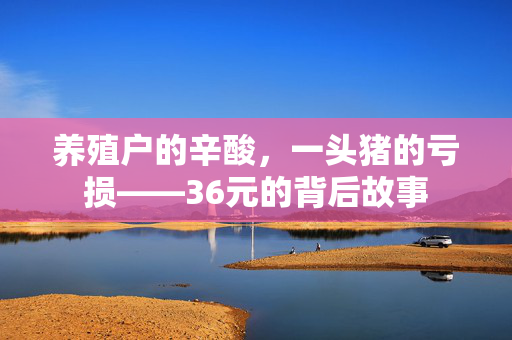 养殖户的辛酸，一头猪的亏损——36元的背后故事