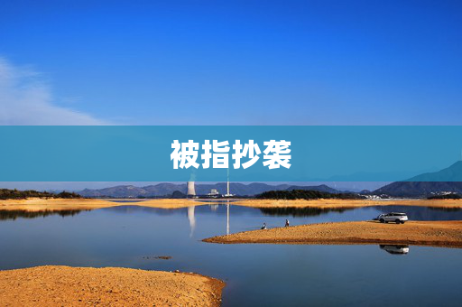 被指抄袭
