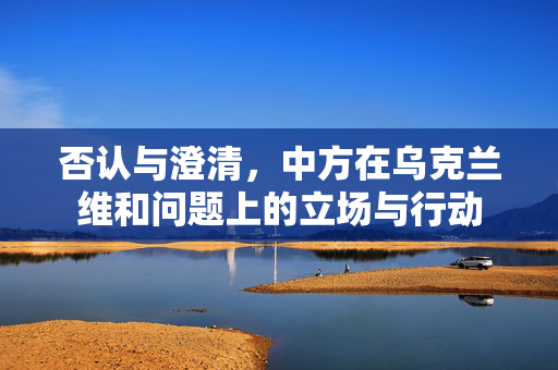 否认与澄清，中方在乌克兰维和问题上的立场与行动