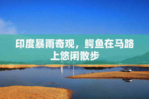 印度暴雨奇观，鳄鱼在马路上悠闲散步