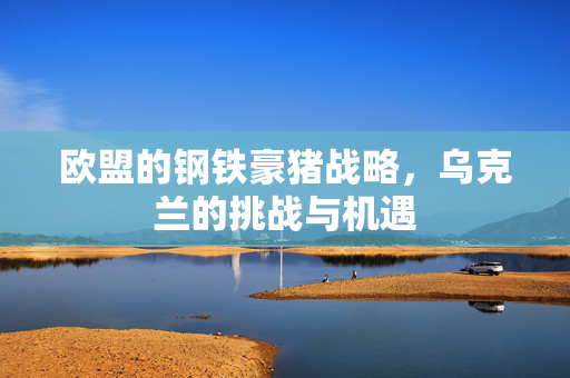 欧盟的钢铁豪猪战略，乌克兰的挑战与机遇