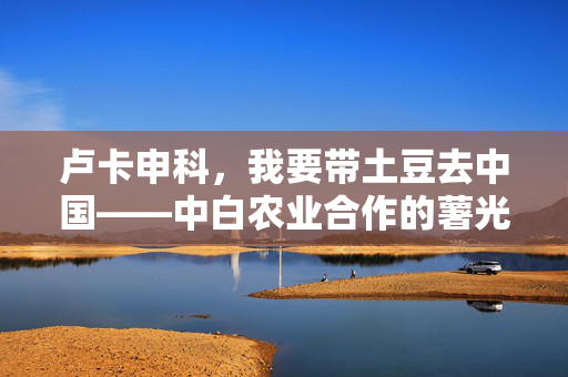 卢卡申科，我要带土豆去中国——中白农业合作的薯光之旅