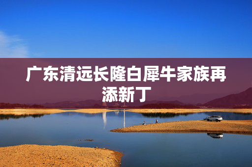 广东清远长隆白犀牛家族再添新丁