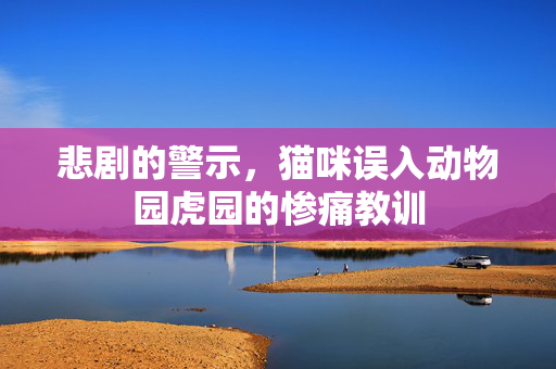 悲剧的警示，猫咪误入动物园虎园的惨痛教训