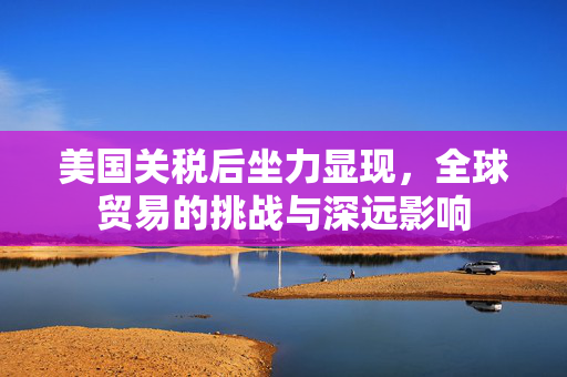 美国关税后坐力显现，全球贸易的挑战与深远影响