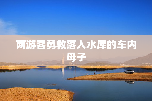 两游客勇救落入水库的车内母子