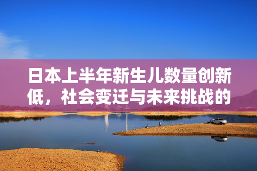 日本上半年新生儿数量创新低，社会变迁与未来挑战的深刻反思