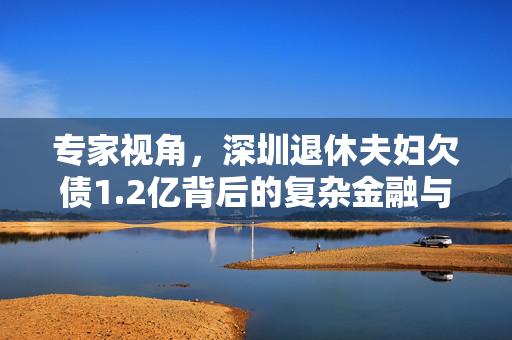专家视角，深圳退休夫妇欠债1.2亿背后的复杂金融与社会问题