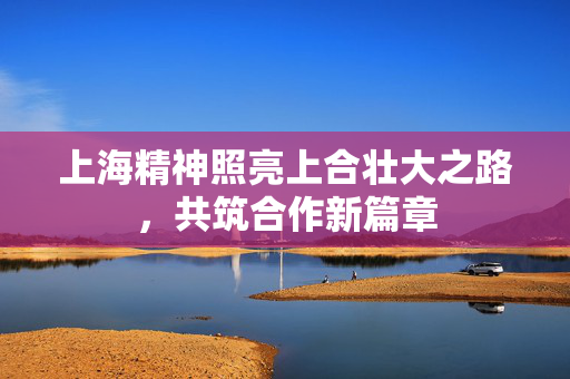 上海精神照亮上合壮大之路，共筑合作新篇章