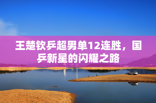 王楚钦乒超男单12连胜，国乒新星的闪耀之路