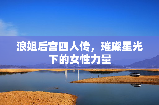 浪姐后宫四人传，璀璨星光下的女性力量