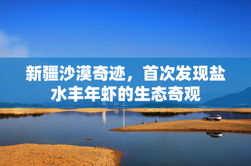 新疆沙漠奇迹，首次发现盐水丰年虾的生态奇观
