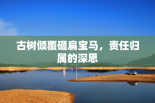 古树倾覆砸扁宝马，责任归属的深思