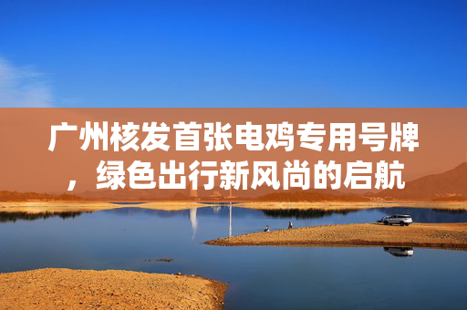 广州核发首张电鸡专用号牌，绿色出行新风尚的启航