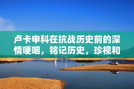 卢卡申科在抗战历史前的深情哽咽，铭记历史，珍视和平