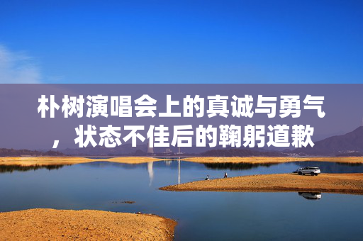 朴树演唱会上的真诚与勇气，状态不佳后的鞠躬道歉