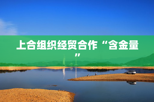 上合组织经贸合作“含金量”