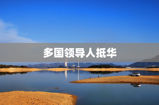 多国领导人抵华