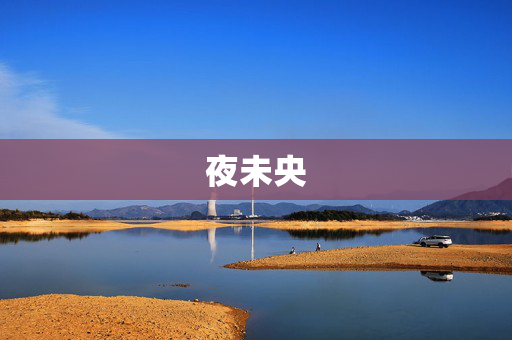 夜未央