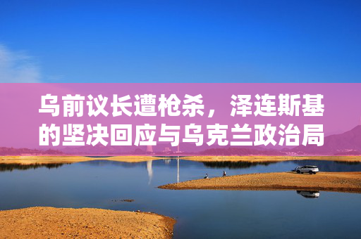 乌前议长遭枪杀，泽连斯基的坚决回应与乌克兰政治局势的深度剖析