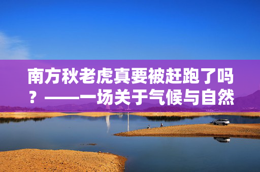 南方秋老虎真要被赶跑了吗？——一场关于气候与自然的深刻探讨