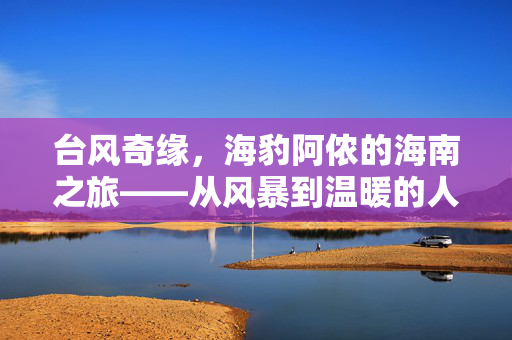 台风奇缘，海豹阿侬的海南之旅——从风暴到温暖的人鱼传说