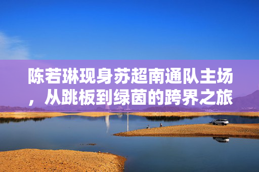 陈若琳现身苏超南通队主场，从跳板到绿茵的跨界之旅