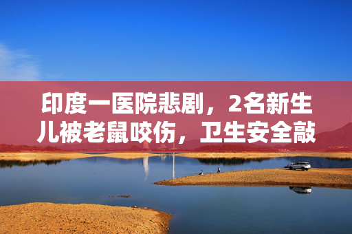 印度一医院悲剧，2名新生儿被老鼠咬伤，卫生安全敲响警钟