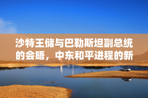 沙特王储与巴勒斯坦副总统的会晤，中东和平进程的新曙光