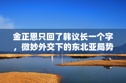 金正恩只回了韩议长一个字，微妙外交下的东北亚局势新动向