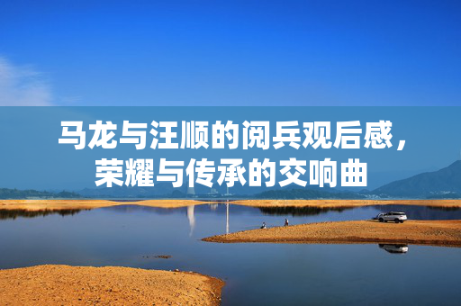 马龙与汪顺的阅兵观后感，荣耀与传承的交响曲