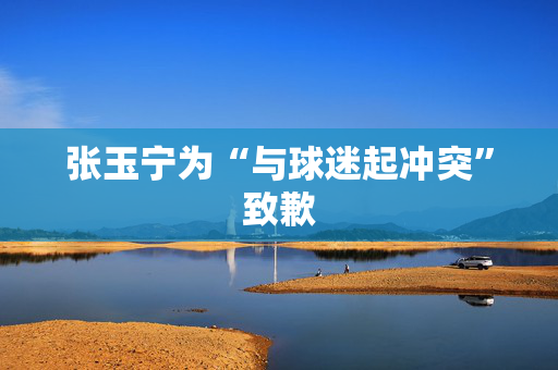 张玉宁为“与球迷起冲突”致歉