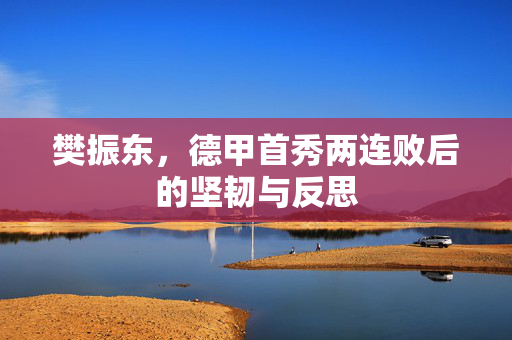 樊振东，德甲首秀两连败后的坚韧与反思