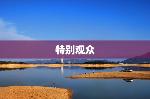 特别观众
