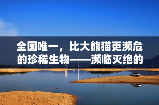 全国唯一，比大熊猫更濒危的珍稀生物——濒临灭绝的独特动物种群