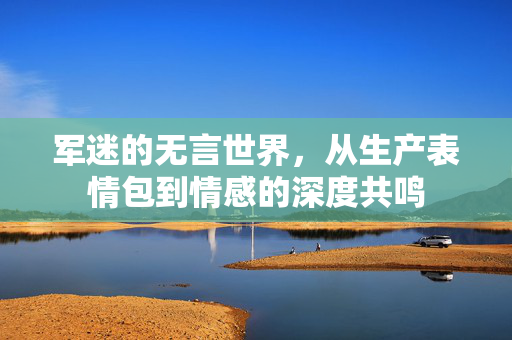 军迷的无言世界，从生产表情包到情感的深度共鸣