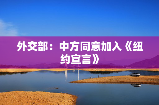 外交部：中方同意加入《纽约宣言》