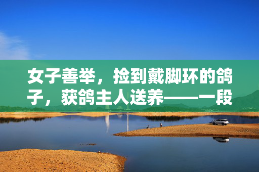 女子善举，捡到戴脚环的鸽子，获鸽主人送养——一段温暖人心的故事