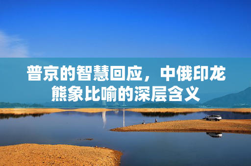 普京的智慧回应，中俄印龙熊象比喻的深层含义