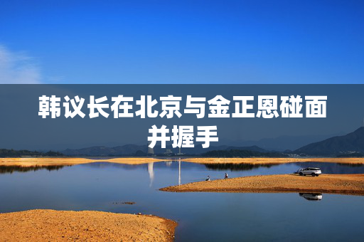 韩议长在北京与金正恩碰面并握手