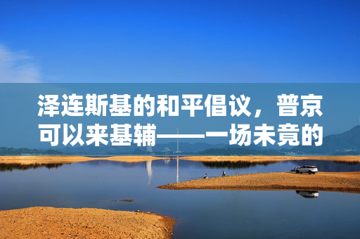 泽连斯基的和平倡议，普京可以来基辅——一场未竟的对话