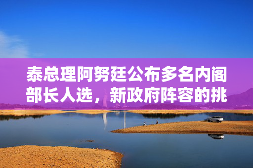 泰总理阿努廷公布多名内阁部长人选，新政府阵容的挑战与机遇
