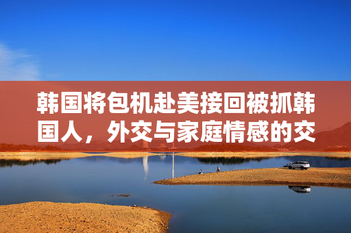 韩国将包机赴美接回被抓韩国人，外交与家庭情感的交织