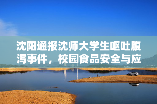 沈阳通报沈师大学生呕吐腹泻事件，校园食品安全与应急响应的深刻反思
