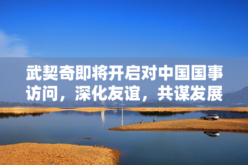 武契奇即将开启对中国国事访问，深化友谊，共谋发展新篇章
