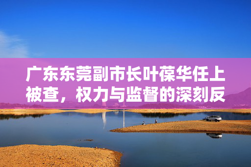 广东东莞副市长叶葆华任上被查，权力与监督的深刻反思