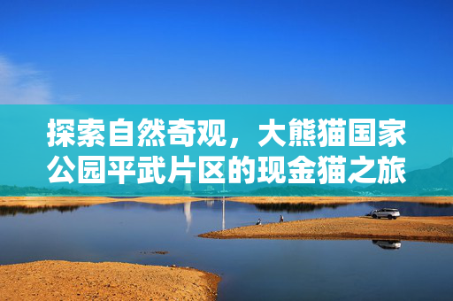 探索自然奇观，大熊猫国家公园平武片区的现金猫之旅