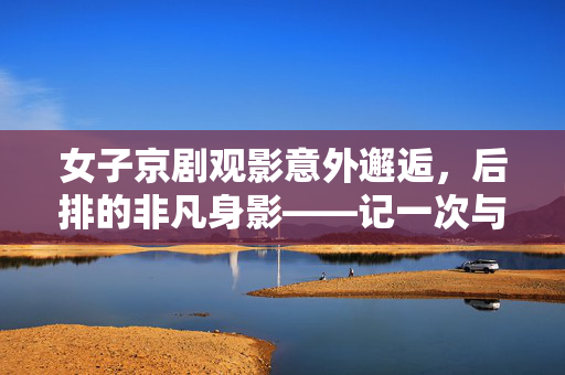 女子京剧观影意外邂逅，后排的非凡身影——记一次与前台湾地区领导人的不期而遇